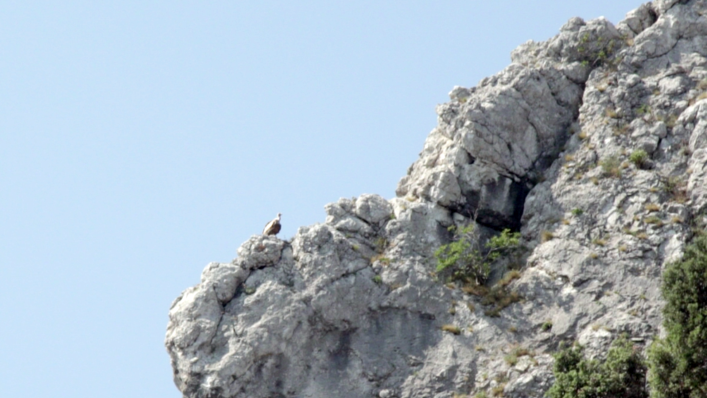 Slika /NASLOVNE FOTOGRAFIJE I KORIŠTENI LOGOTIPOVI/content/56435e4cf3ae6.png